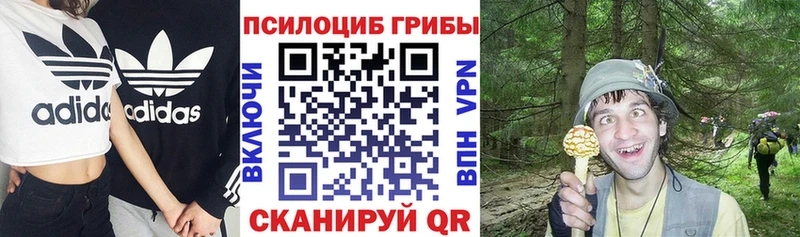 Псилоцибиновые грибы ЛСД купить наркотик Бабаево